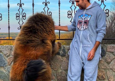 photo tibetan mastiff dog